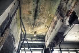 Best Comprehensive Air Testing for Mold Contaminants  in Stewartville, AL